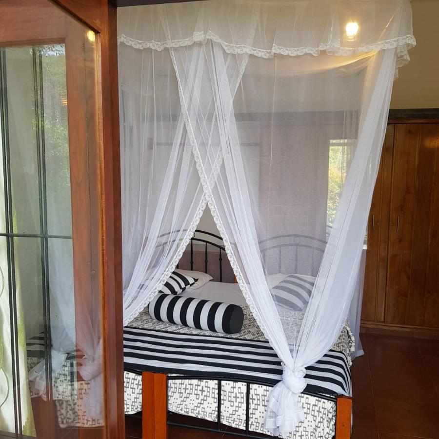 Ella Floating View Bed & Breakfast Dış mekan fotoğraf